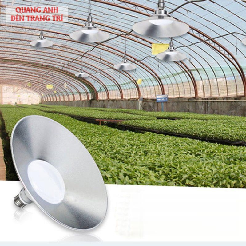 ce12d4c93fa0dffe86b1