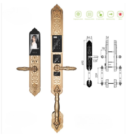 Khóa cửa vân tay tân cổ điển Kassler KL939F Pro đuôi tôm, Face ID 3D