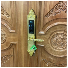 Khóa cửa vân tay cao cấp tân cổ điển Kassler KL-959G