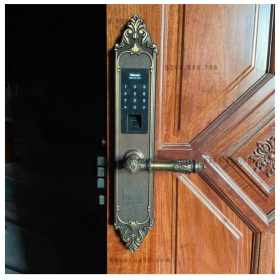 Khóa cửa vân tay cao cấp tân cổ điển Kassler KL-959GR