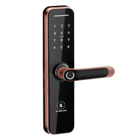 Khóa cửa vân tay Kassler KL668 App Red Bronze Màu đồng đỏ