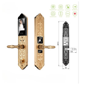 Khóa cửa vân tay tân cổ điển Kassler KL-989-FS đúc đồng nguyên khối