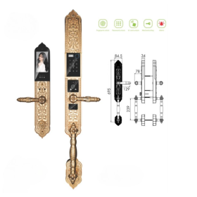 Khóa cửa vân tay tân cổ điển Kassler KL989F đúc đồng nguyên khối, Face Id