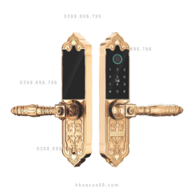 Khóa cửa vân tay tân cổ điển Kassler KL919