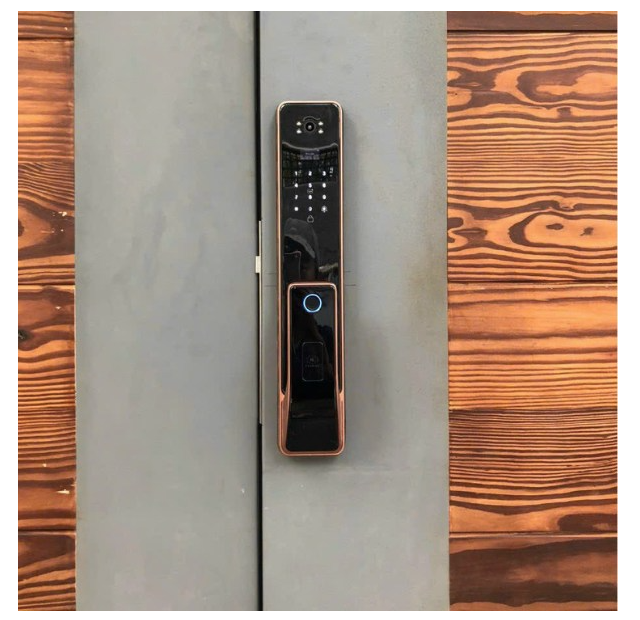 Khóa cửa vân tay Kassler KL828C