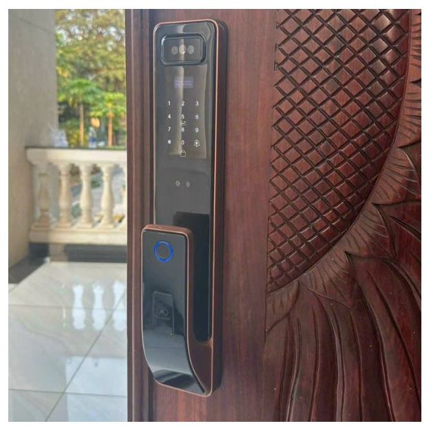 Khóa cửa vân tay Kassler KL828F Face 3D