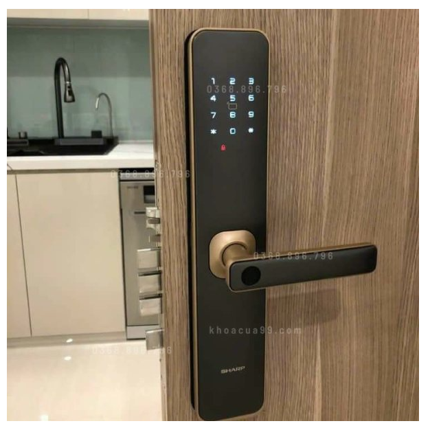 Khóa cửa vân tay mã số Sharp A2-B