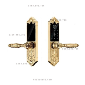 Khóa cửa Hubert HB DS79 Gold Mini