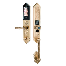 Khóa cửa vân tay đại sảnh Hubert HB DS79F